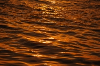 D3S_9081.jpg