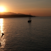 Picture 2.jpg