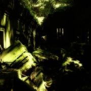 274_7415.jpg