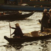 275-7536.jpg