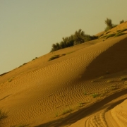 dbx16.jpg