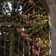 liguria_06.JPG
