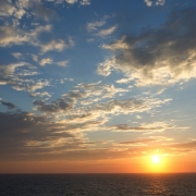 IMG_9835.jpg